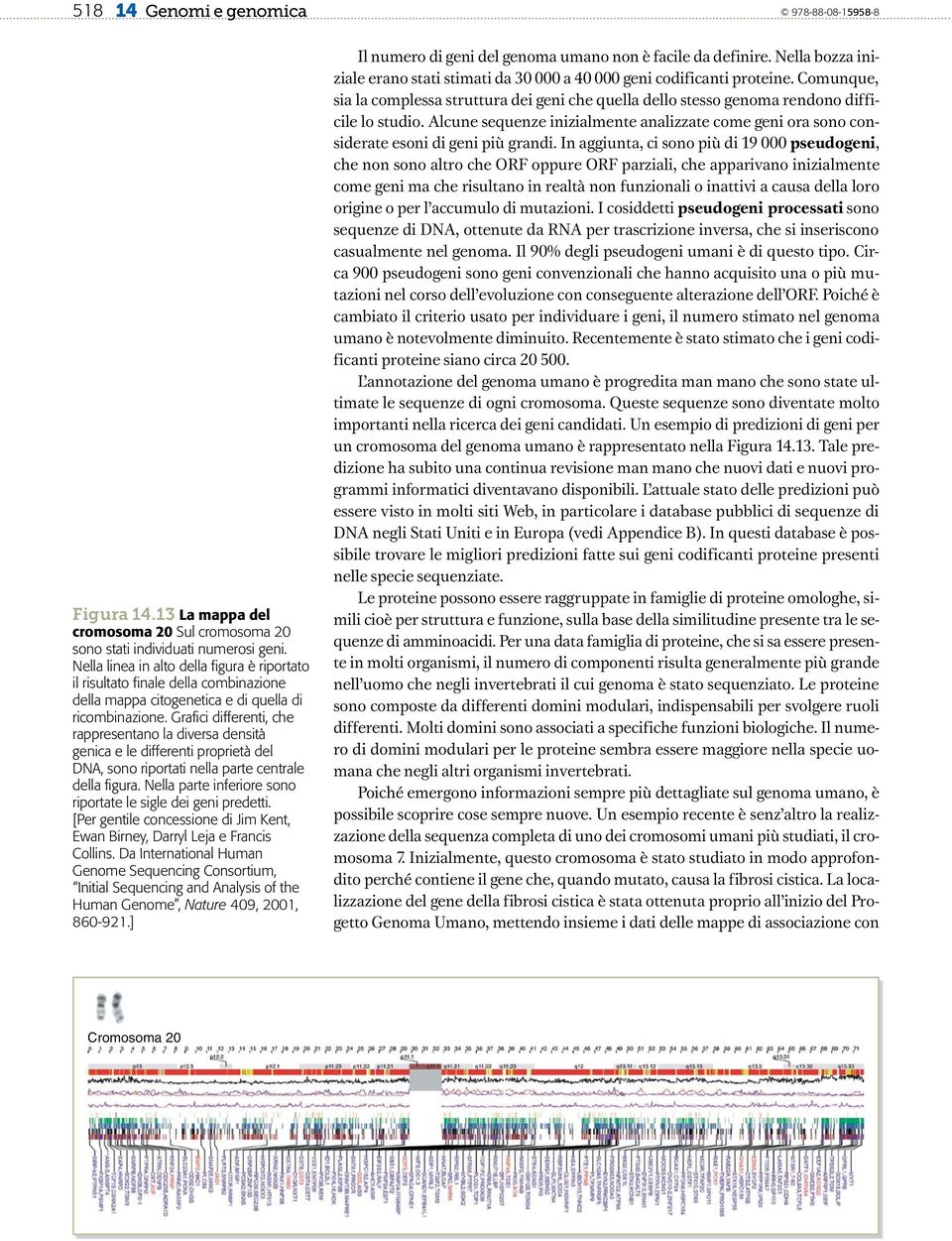 Grafici differenti, che rappresentano la diversa densità genica e le differenti proprietà del DNA, sono riportati nella parte centrale della figura.