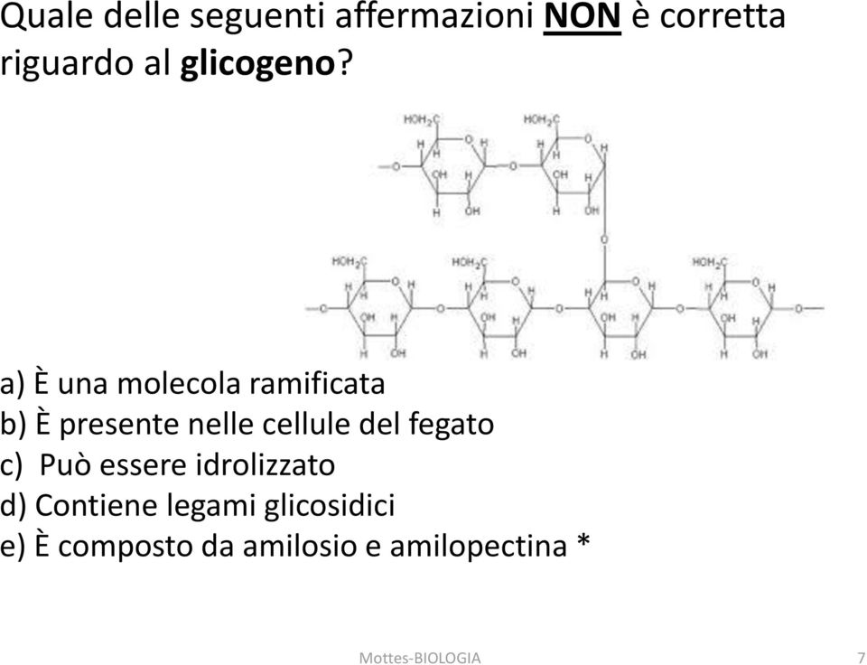 a) È una molecola ramificata b) È presente nelle cellule del