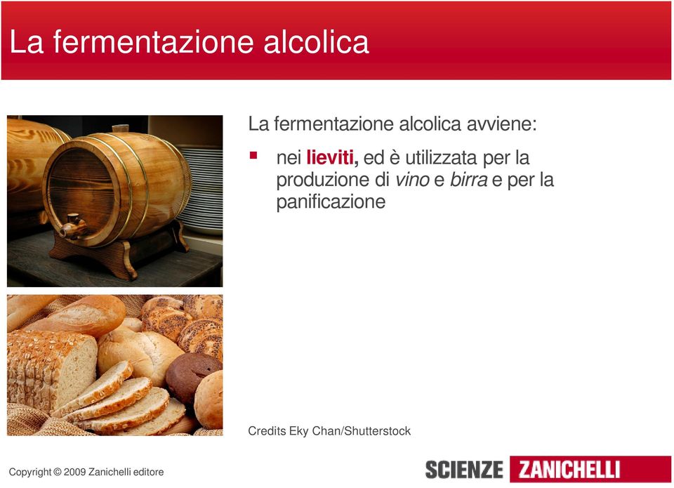 utilizzata per la produzione di vino e