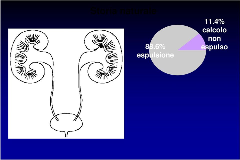 6% espulsione