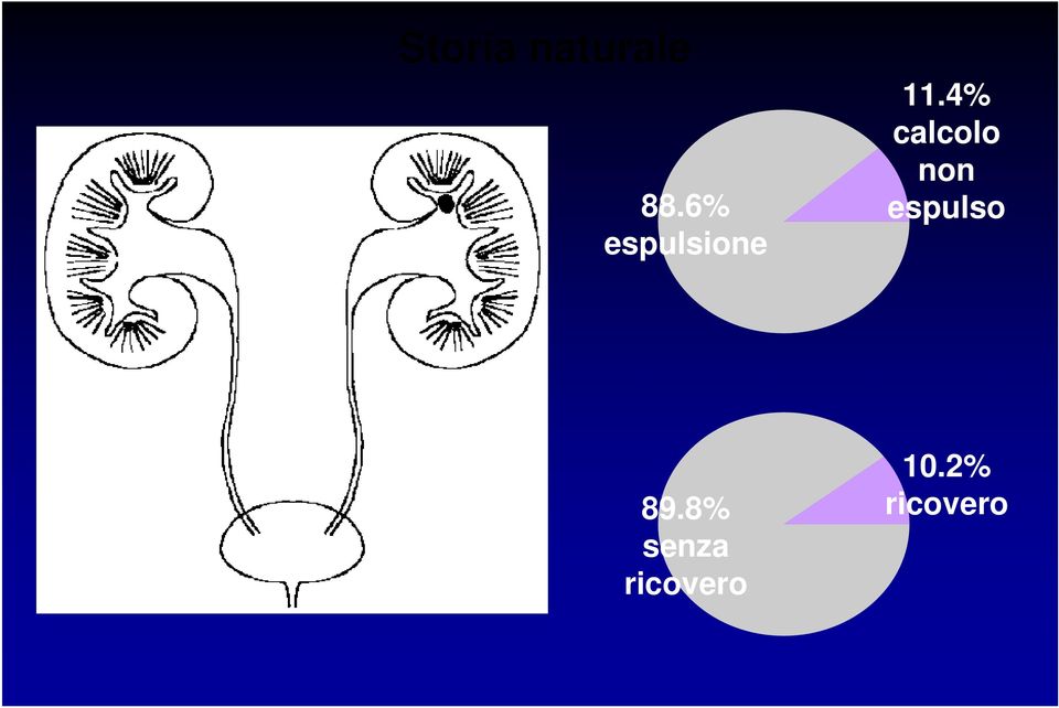 4% calcolo non espulso