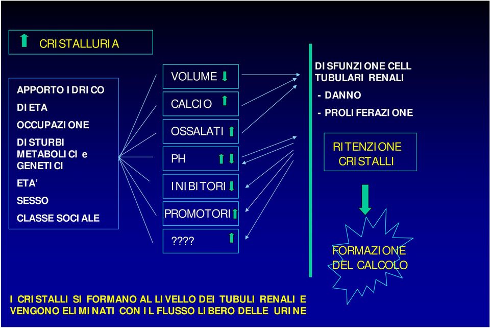 ??? DISFUNZIONE CELL TUBULARI RENALI -DANNO - PROLIFERAZIONE RITENZIONE CRISTALLI