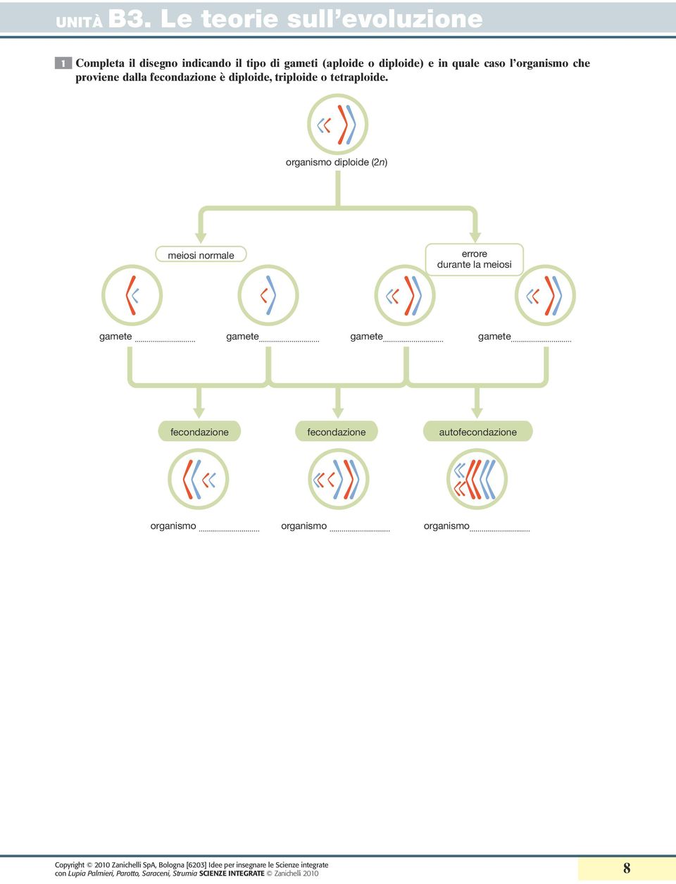 Differente, comune, omologhe, analoghe C. La selezione è un meccanismo che porta ad un successo riproduttivo, in cui gli individui che meglio riescono ad adattarsi all ambiente si riproducono di.