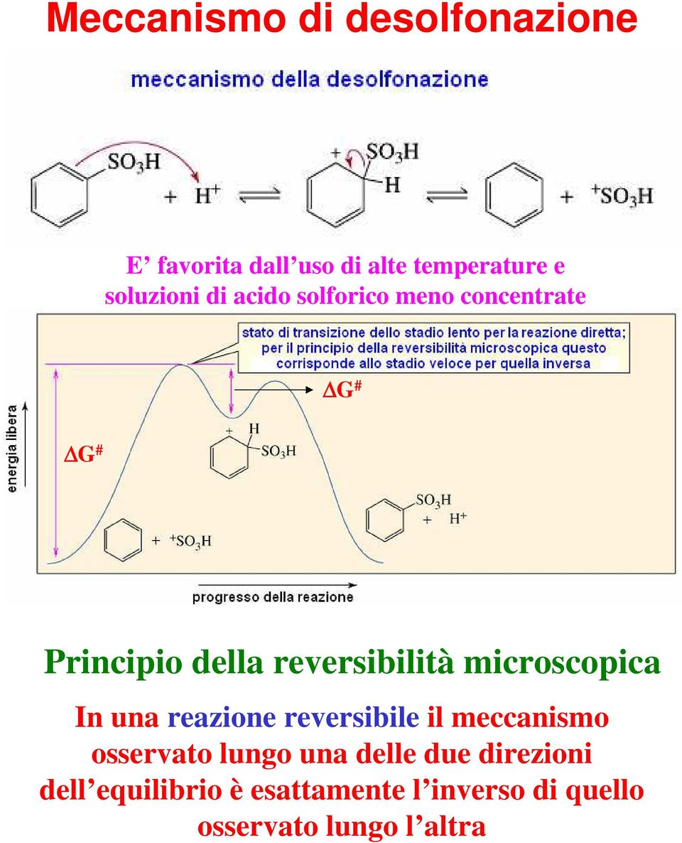 microscopica In una reazione reversibile il meccanismo osservato lungo una delle