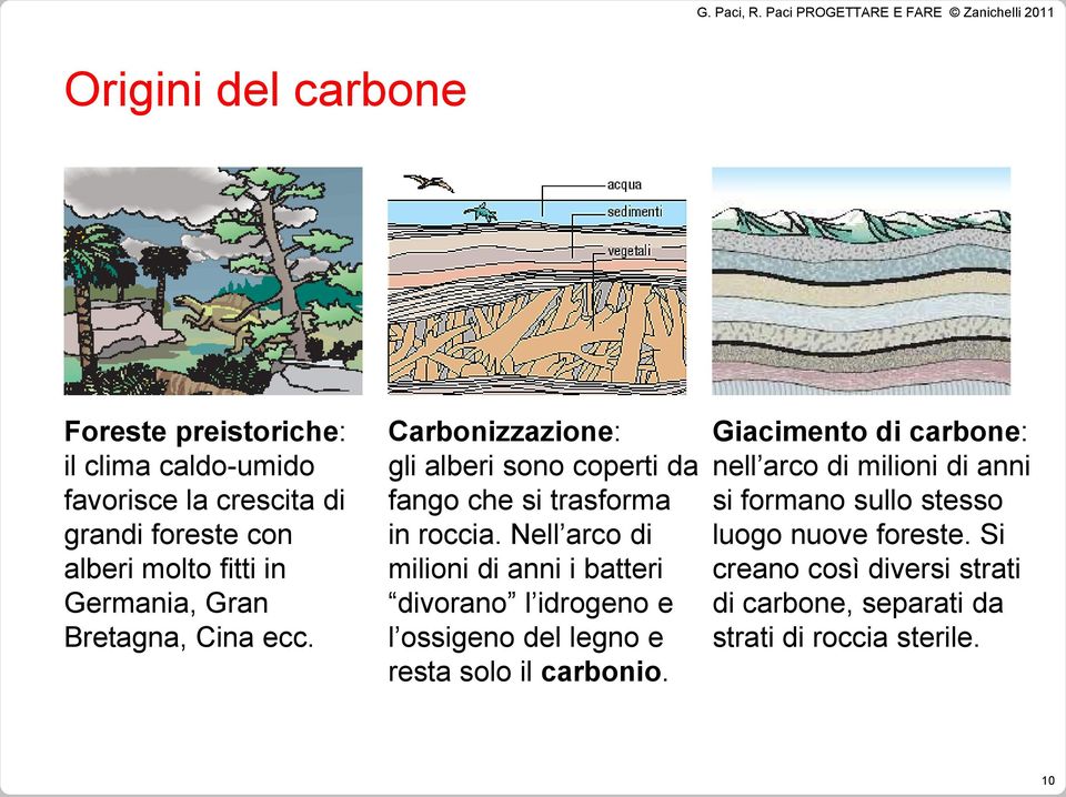 Nell arco di milioni di anni i batteri divorano l idrogeno e l ossigeno del legno e resta solo il carbonio.