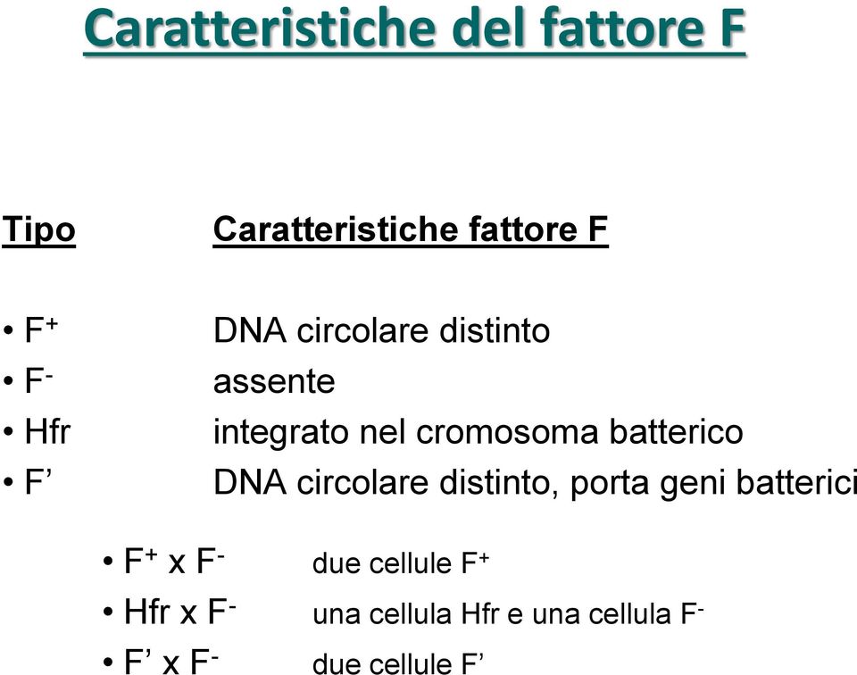 batterico DNA circolare distinto, porta geni batterici F + x F - due
