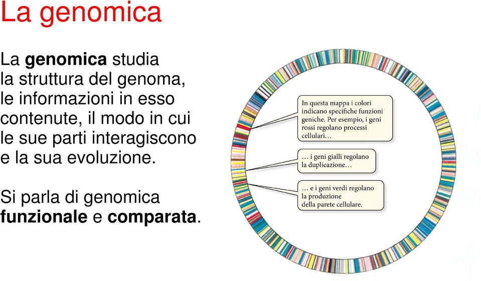 modo in cui le sue parti interagiscono e la sua