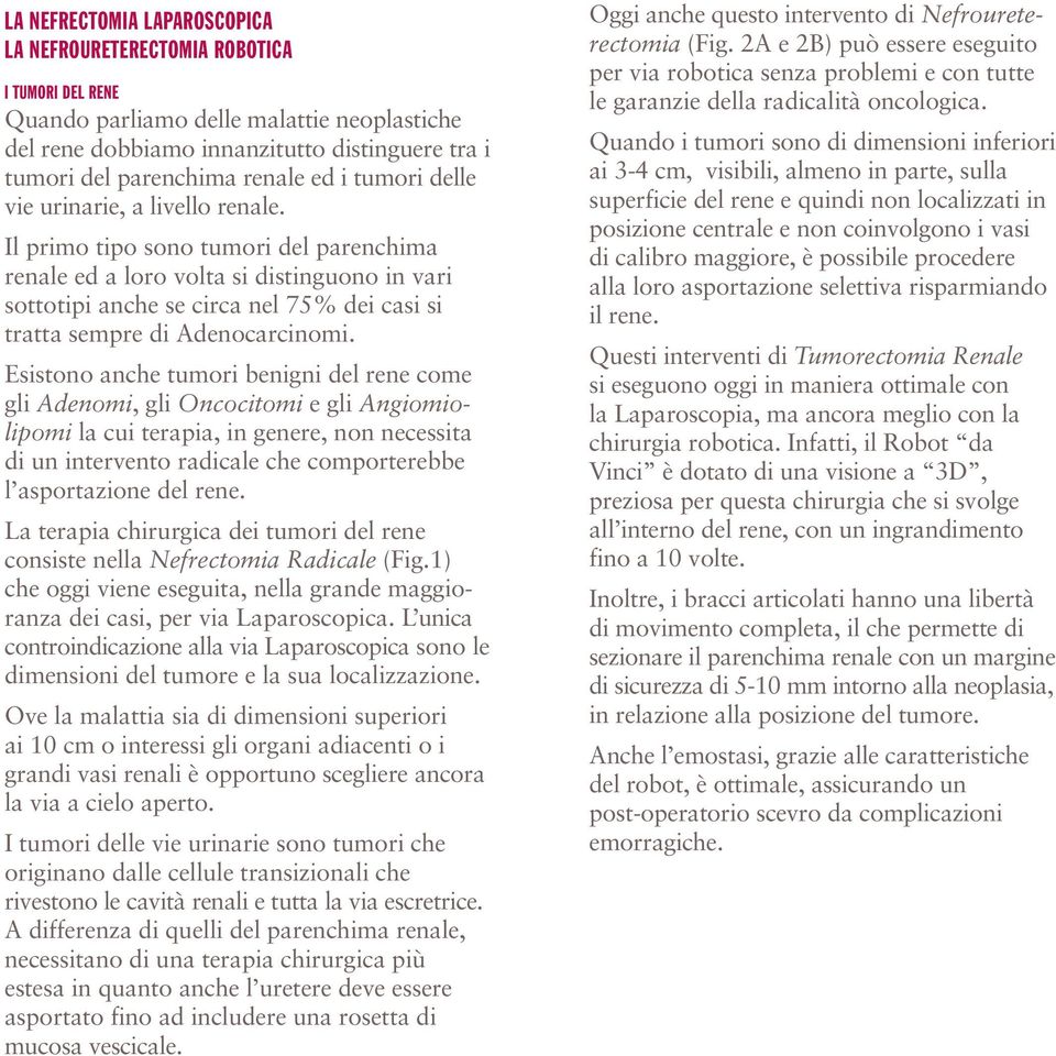 Il primo tipo sono tumori del parenchima renale ed a loro volta si distinguono in vari sottotipi anche se circa nel 75% dei casi si tratta sempre di Adenocarcinomi.