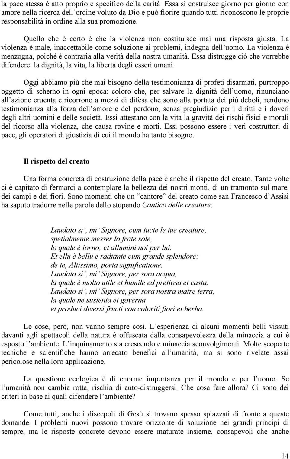 Quello che è certo è che la violenza non costituisce mai una risposta giusta. La violenza è male, inaccettabile come soluzione ai problemi, indegna dell uomo.