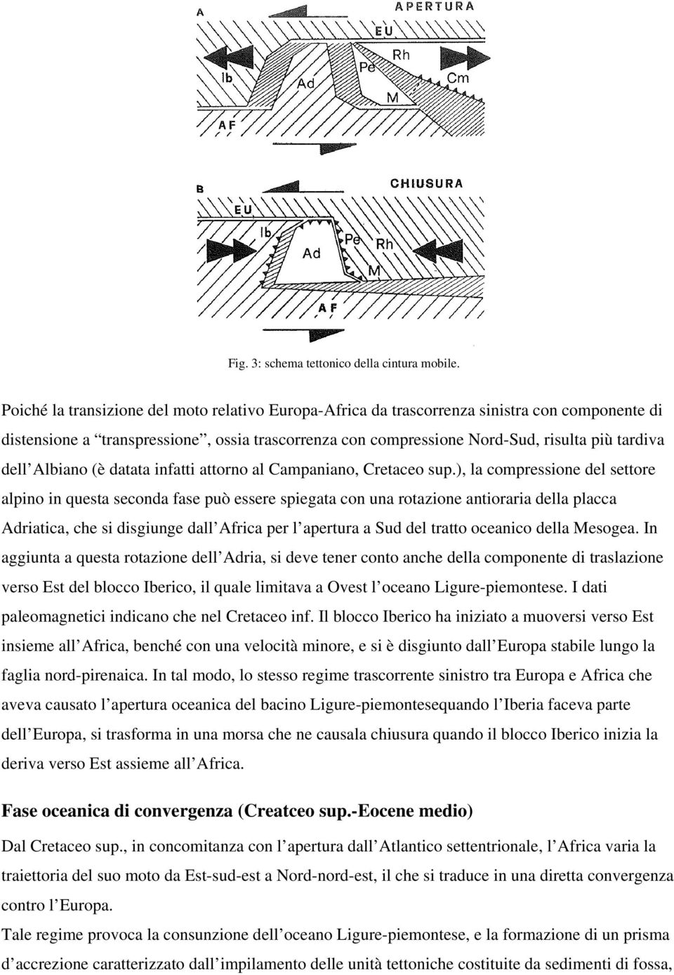 Albiano (è datata infatti attorno al Campaniano, Cretaceo sup.