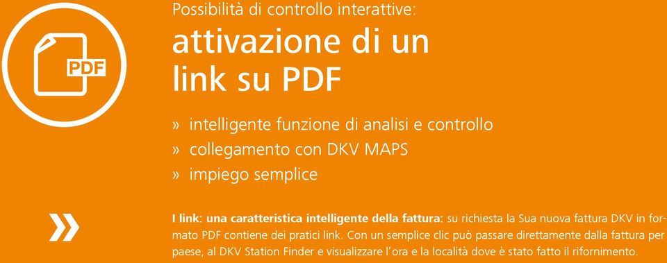 Sua nuova fattura DKV in formato PDF contiene dei pratici link.