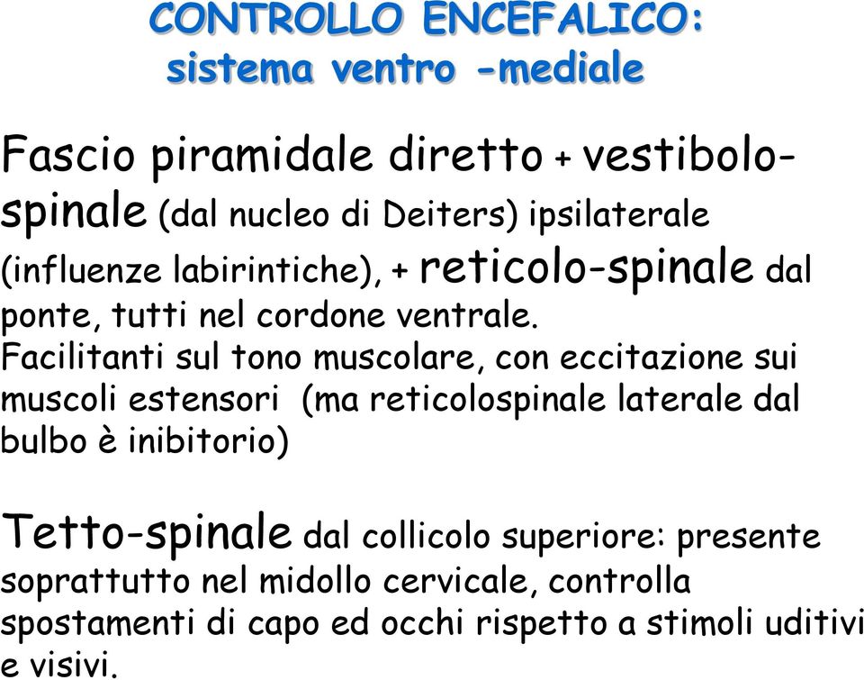 Facilitanti sul tono muscolare, con eccitazione sui muscoli estensori (ma reticolospinale laterale dal bulbo è inibitorio)