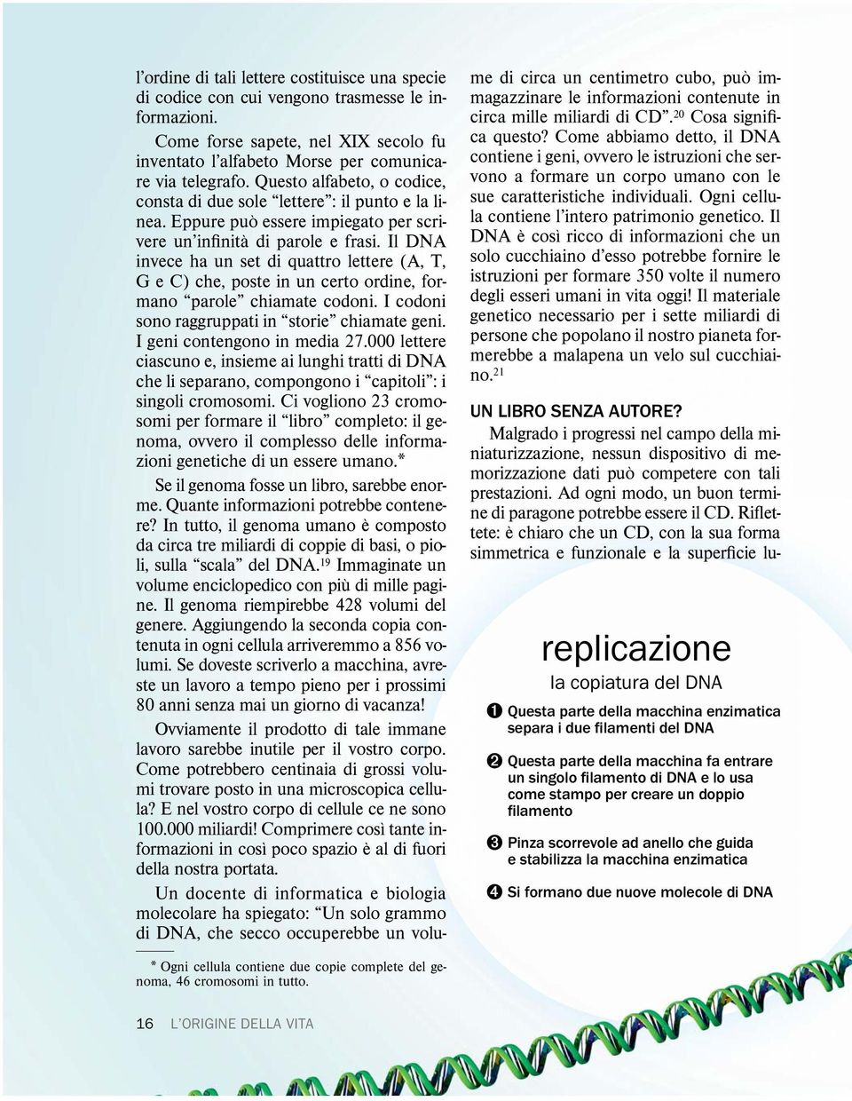 Il DNA invece ha un set di quattro lettere (A, T, GeC)che,posteinuncertoordine,formano parole chiamate codoni. I codoni sono raggruppati in storie chiamate geni. I geni contengono in media 27.