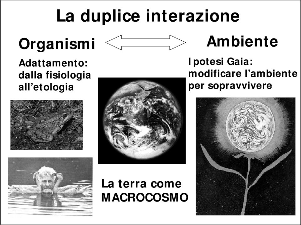 etologia Ambiente Ipotesi Gaia: