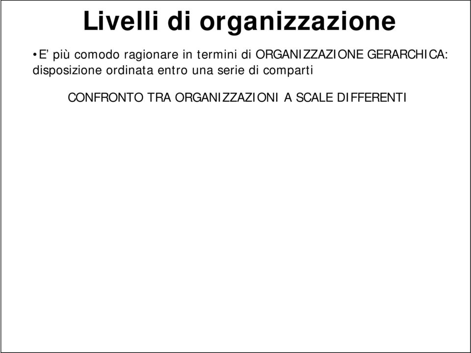 Regione Phylum Apparato Colonnello biogeografia Nazione Regione, Bioma Classe Organo Maggiore Regione Paesaggio Ordine Tessuto Capitano Provincia Ecosistema Famiglia