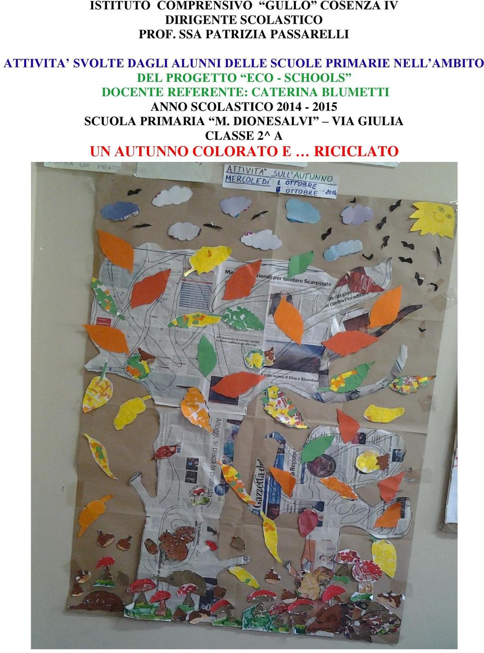 CATERINA BLUMETTI ANNO SCOLASTICO 2014-2015 SCUOLA PRIMARIA