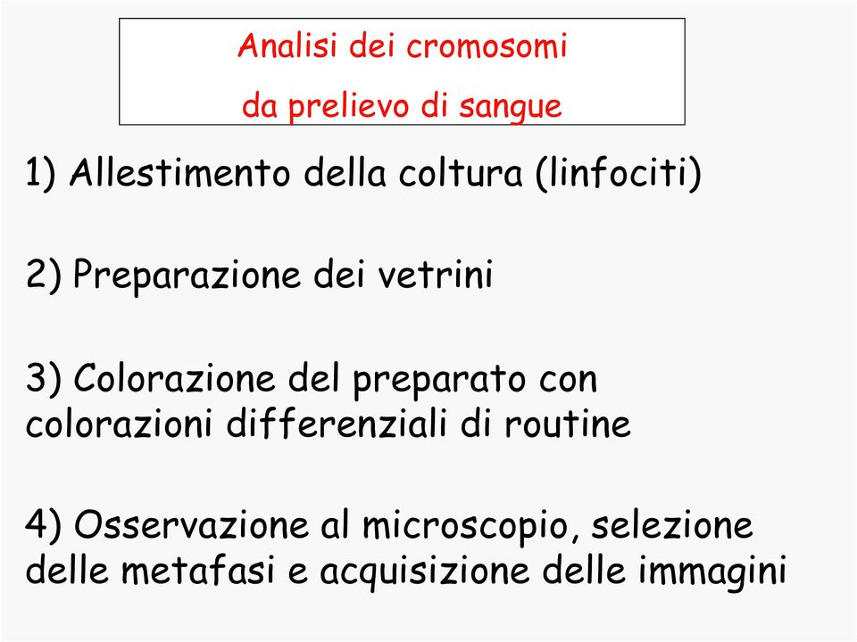 preparato con colorazioni differenziali di routine 4) Osservazione