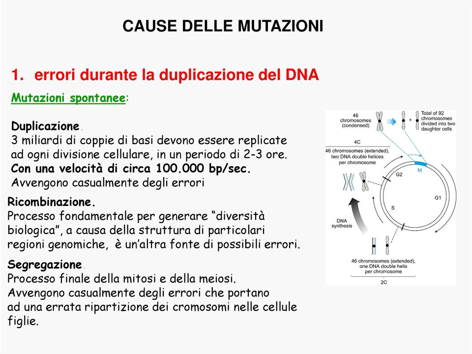 Avvengono casualmente degli errori Ricombinazione.