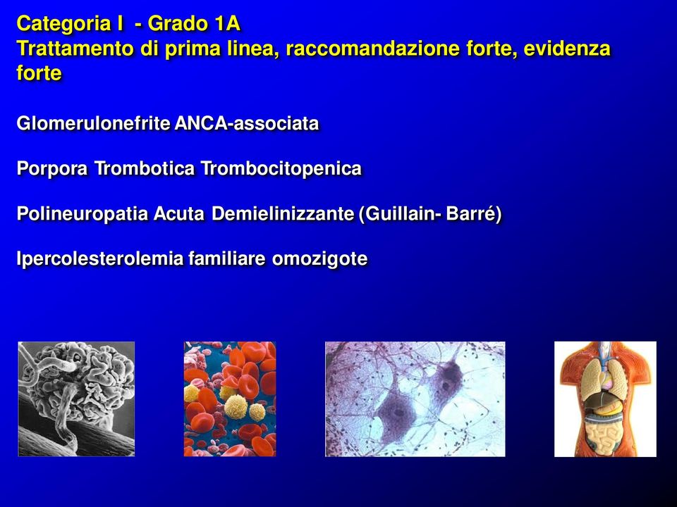 ANCA-associata Porpora Trombotica Trombocitopenica