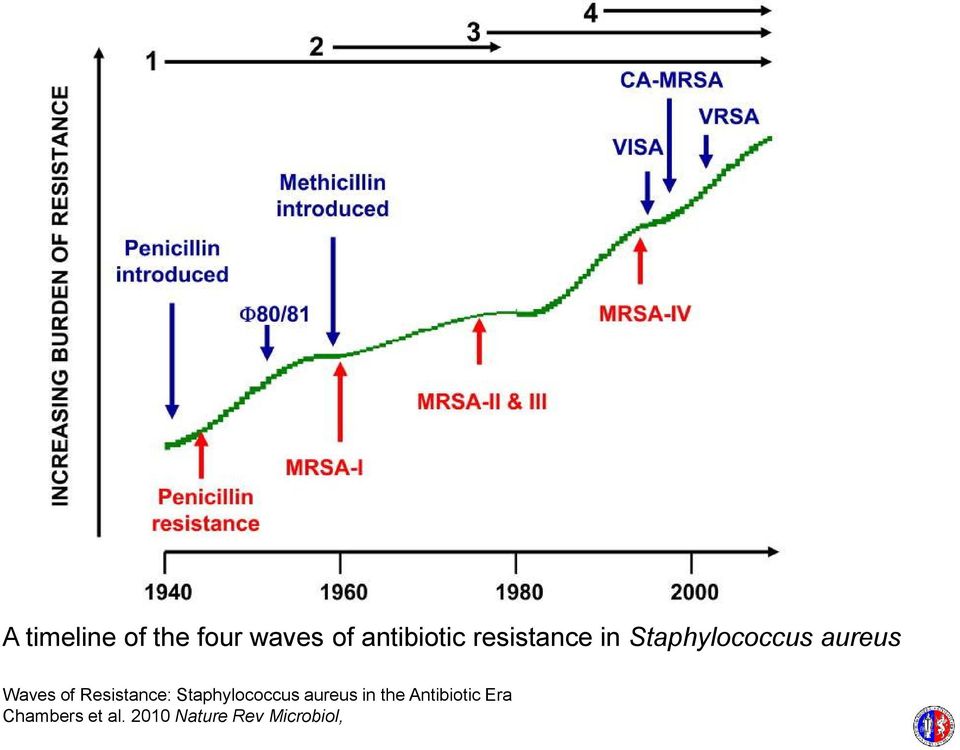 Resistance: Staphylococcus aureus in the