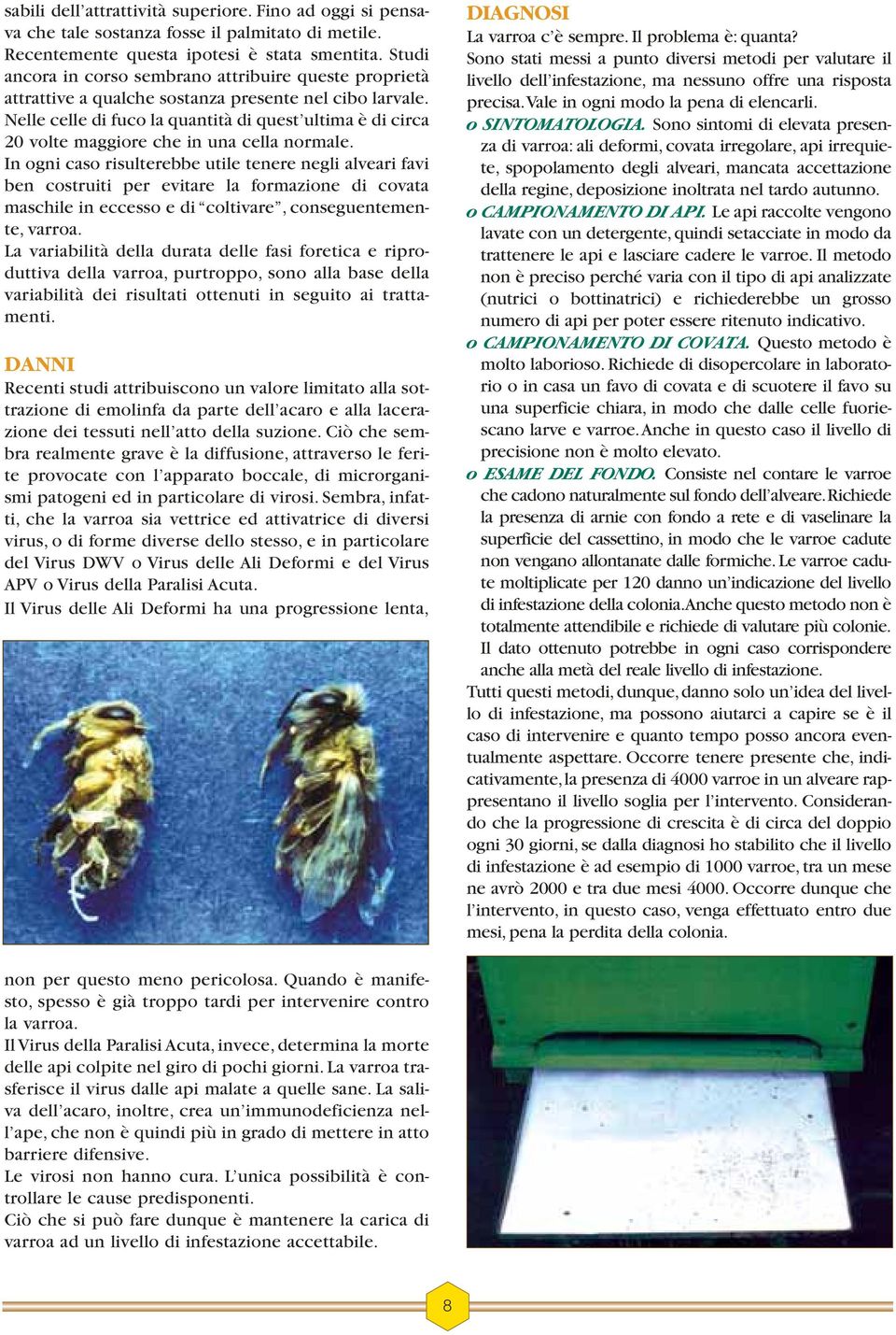 Nelle celle di fuco la quantità di quest ultima è di circa 20 volte maggiore che in una cella normale.