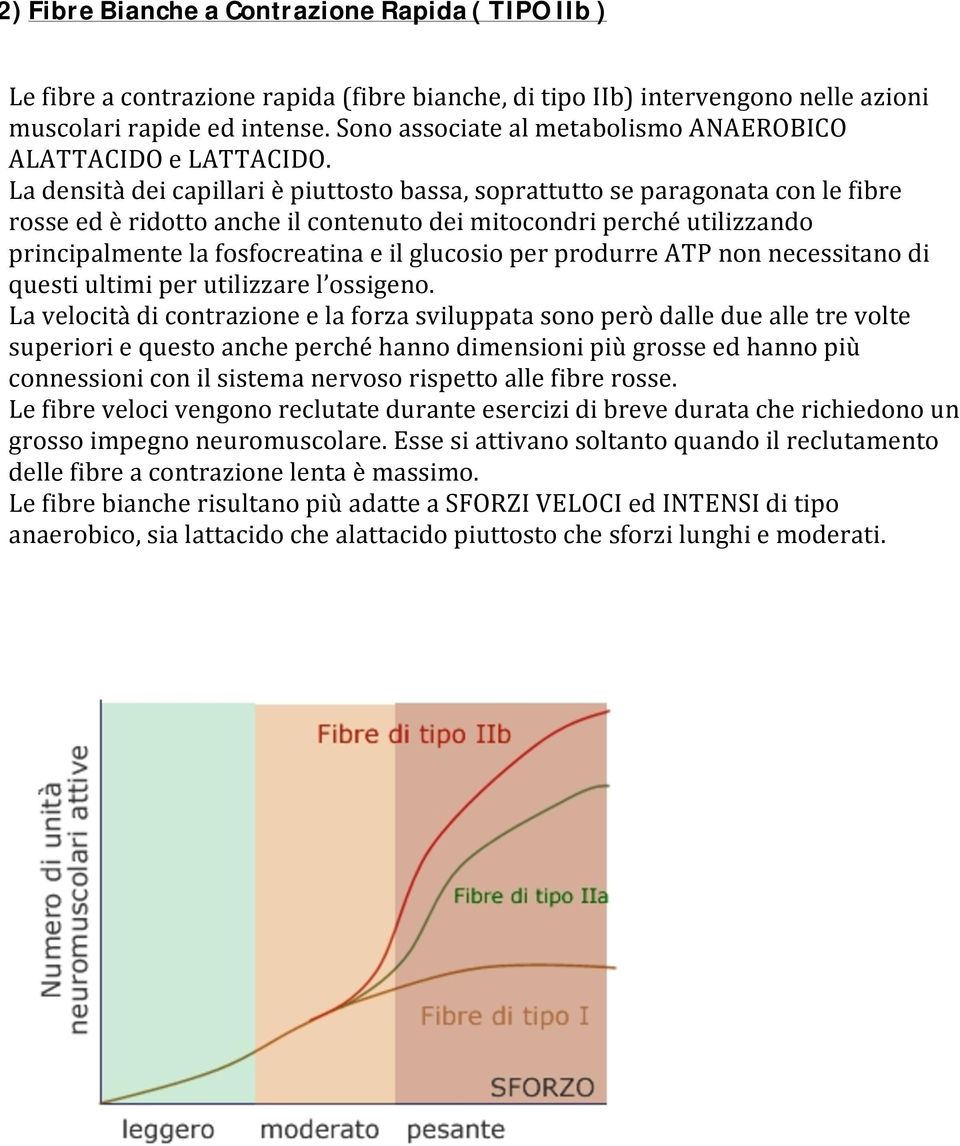 La densità dei capillari è piuttosto bassa, soprattutto se paragonata con le fibre rosse ed è ridotto anche il contenuto dei mitocondri perché utilizzando principalmente la fosfocreatina e il