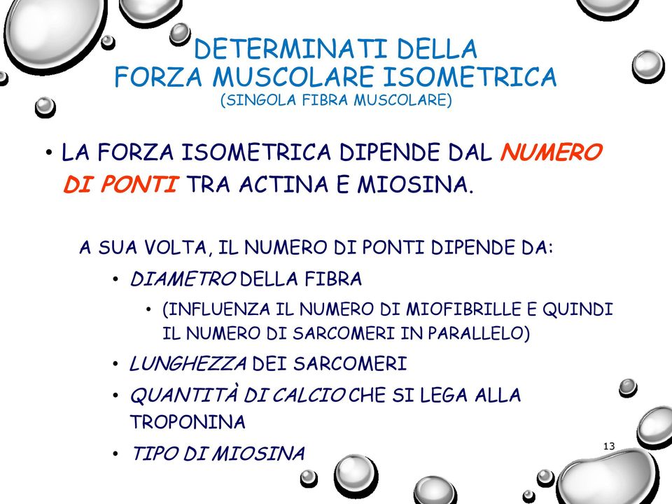 A SUA VOLTA, IL NUMERO DI PONTI DIPENDE DA: DIAMETRO DELLA FIBRA (INFLUENZA IL NUMERO DI