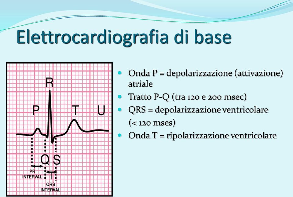 P-Q (tra 120 e 200 msec) QRS = depolarizzazione