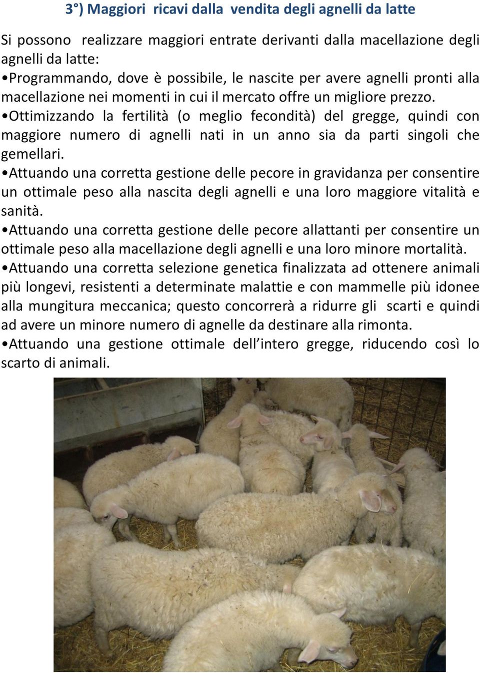 Ottimizzando la fertilità (o meglio fecondità) del gregge, quindi con maggiore numero di agnelli nati in un anno sia da parti singoli che gemellari.