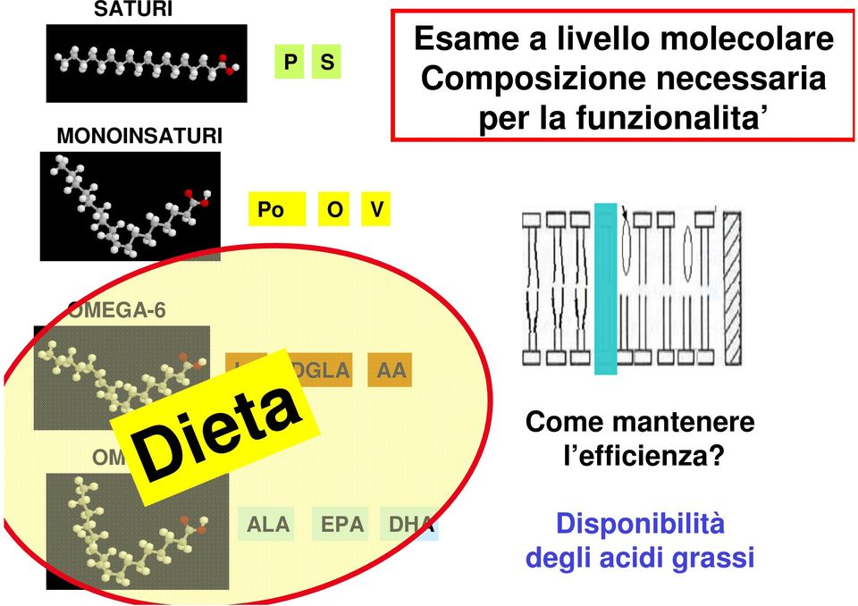 OMEGA-6 OMEGA-3 LA Dieta DGLA AA Come mantenere l