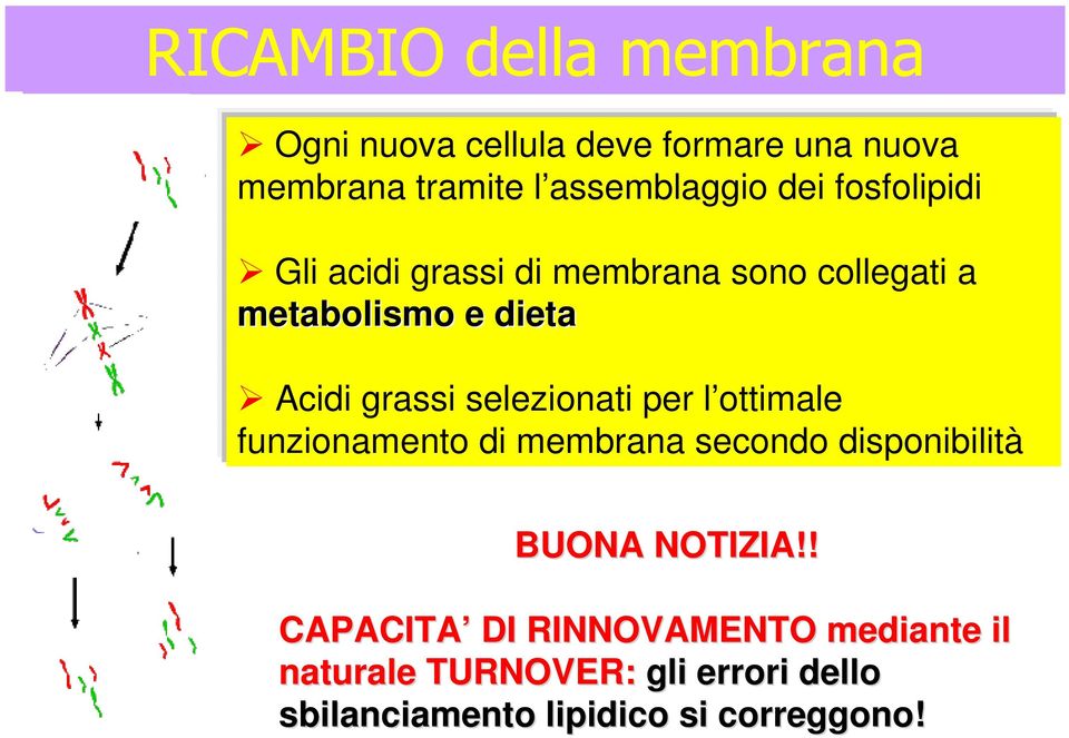 selezionati per l ottimale funzionamento di membrana secondo disponibilità BUONA NOTIZIA!