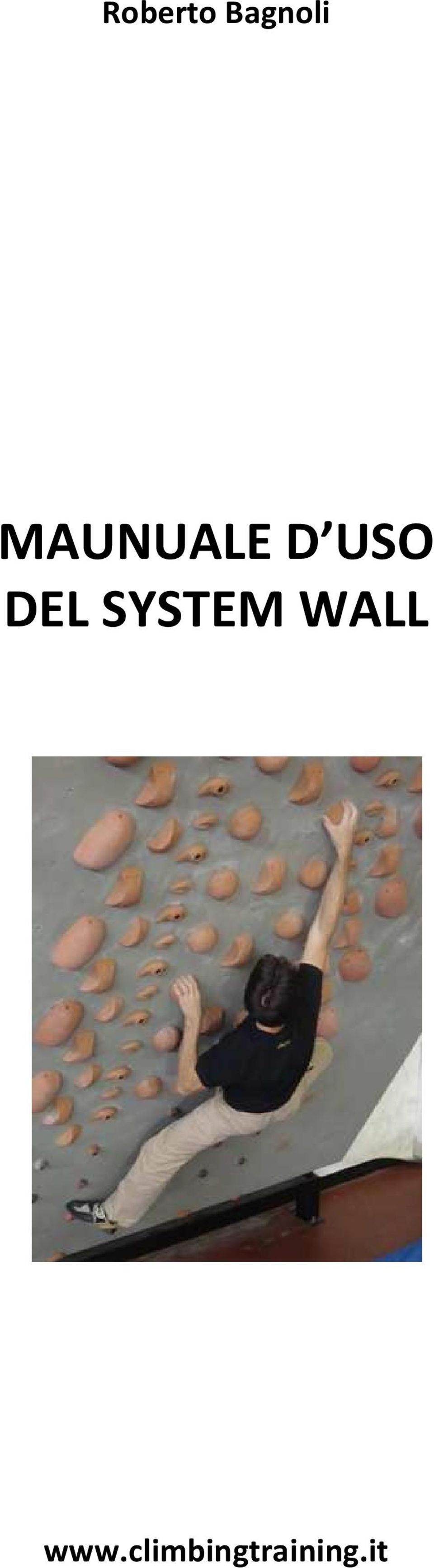 DEL SYSTEM WALL