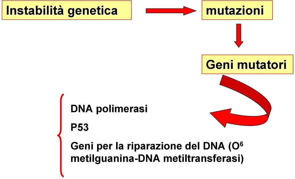 Geni per la riparazione del DNA