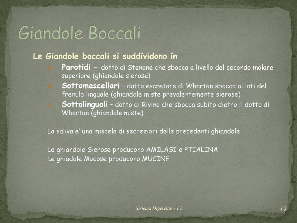 Sottomascellari dotto escretore di Wharton sbocca ai lati del frenulo linguale (ghiandole miste prevalentemente sierose) c.