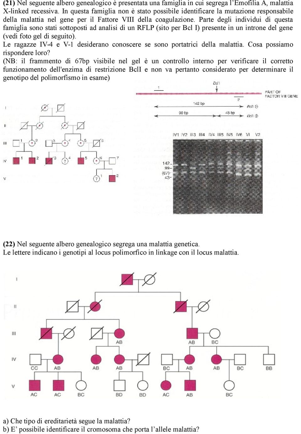 Parte degli individui di questa famiglia sono stati sottoposti ad analisi di un RFLP (sito per Bcl I) presente in un introne del gene (vedi foto gel di seguito).