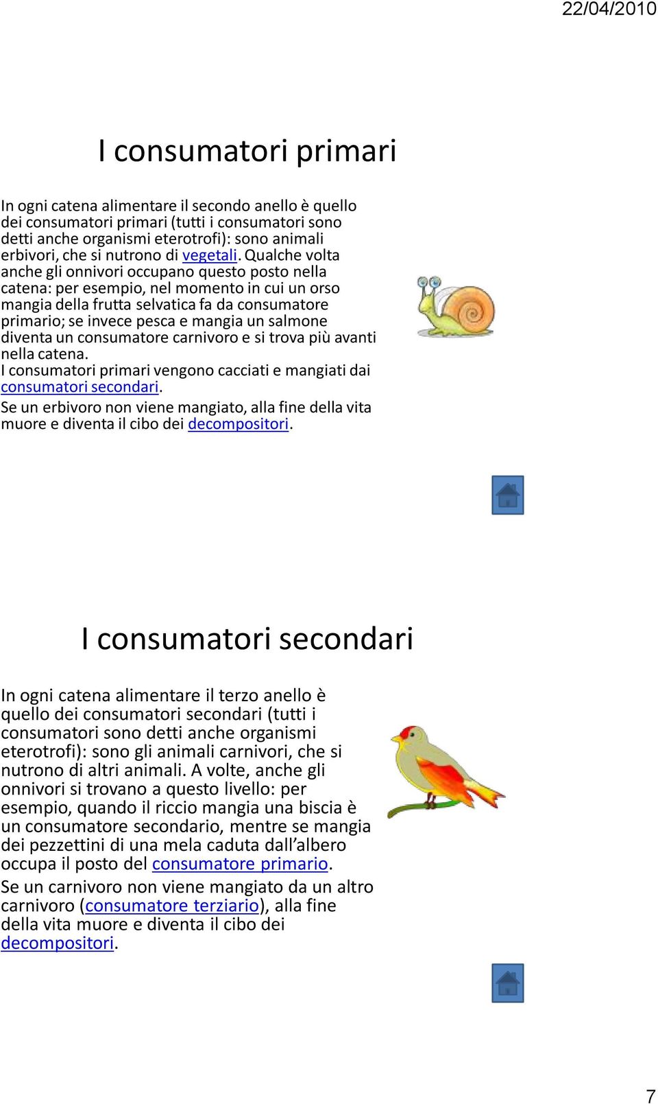 Qualche volta anche gli onnivori occupano questo posto nella catena: per esempio, nel momento in cui un orso mangia della frutta selvatica fa da consumatore primario; se invece pesca e mangia un