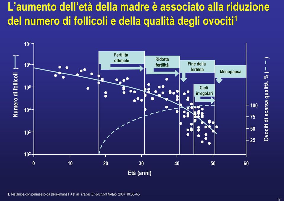 della fertilità Cicli irregolari Menopausa 100 75 50 25 Ovociti di scarsa qualità, % ( ) 10 2 0 10 20 30