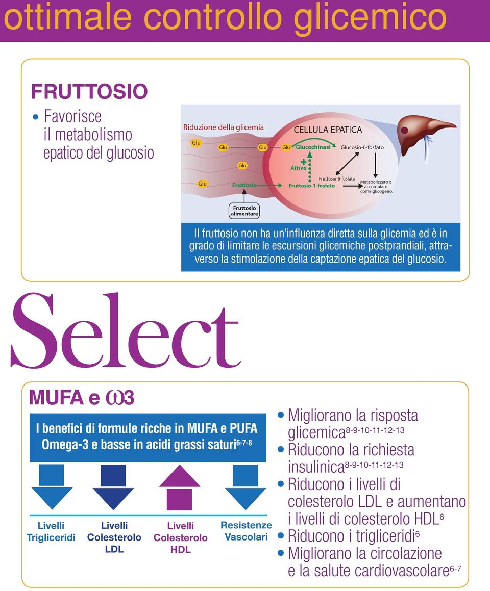 MUFA e w3 I benefici di formule ricche in MUFA e PUFA Omega-3 e basse in acidi grassi saturi 6-7-8 Livelli Trigliceridi Livelli Colesterolo LDL Livelli Colesterolo HDL Resistenze