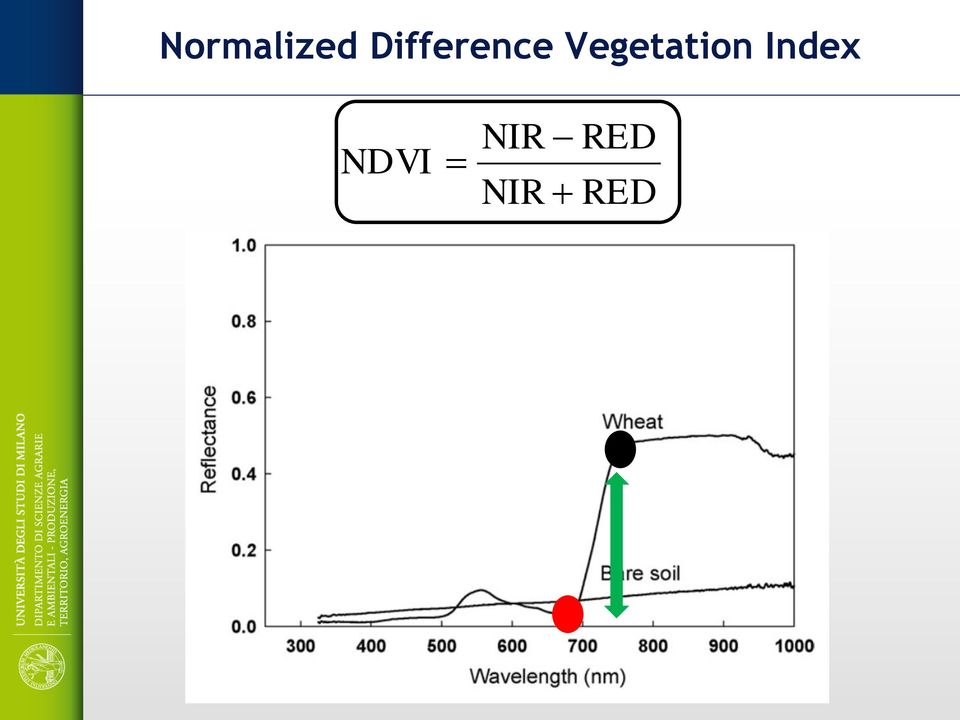 Vegetation