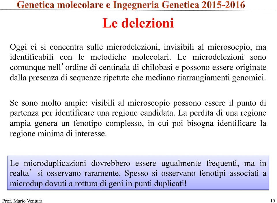 Se sono molto ampie: visibili al microscopio possono essere il punto di partenza per identificare una regione candidata.