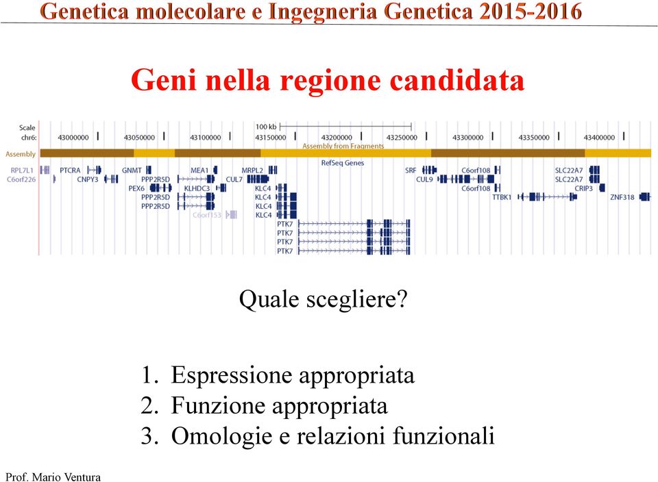 Espressione appropriata 2.