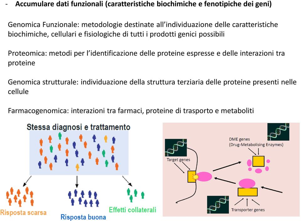 metodi per l identificazione delle proteine espresse e delle interazioni tra proteine Genomica strutturale: individuazione della