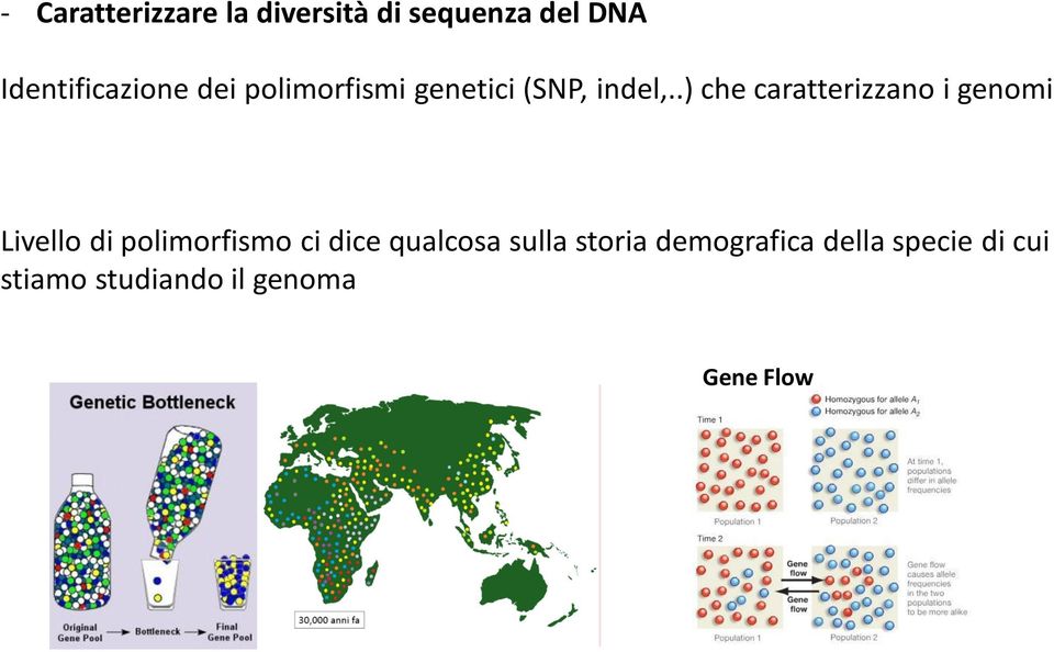 .) che caratterizzano i genomi Livello di polimorfismo ci dice