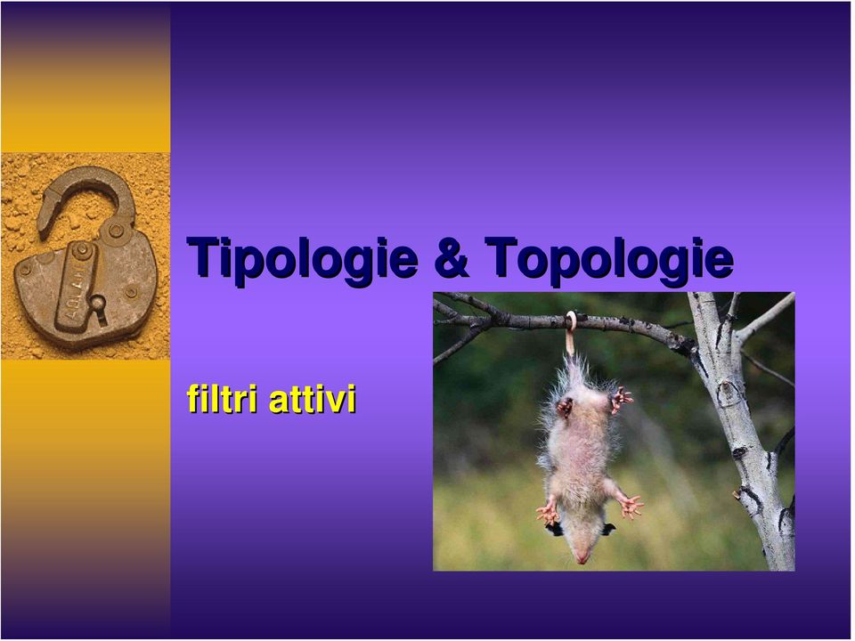 Topologie