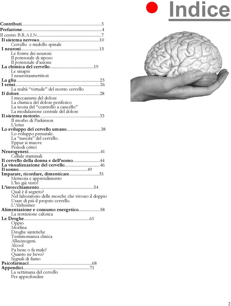 ..26 La realtà virtuale del nostro cervello Il dolore.