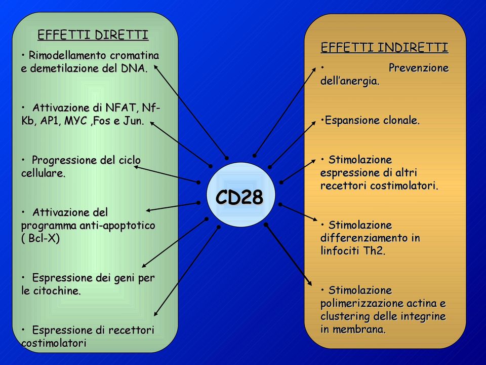 Attivazione del programma anti-apoptotico ( Bcl-X) Espressione dei geni per le citochine.