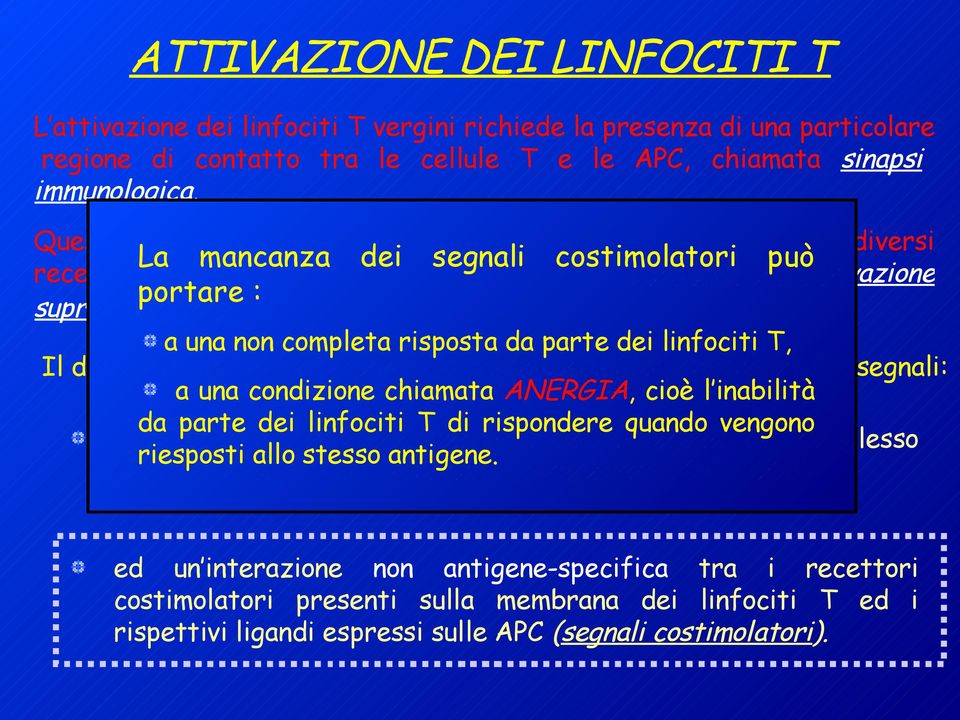 a una non completa risposta da parte dei linfociti T, Il differenziamento e l espansione dei linfociti T dipendono da due segnali: a una condizione chiamata ANERGIA, cioè l inabilità da parte dei