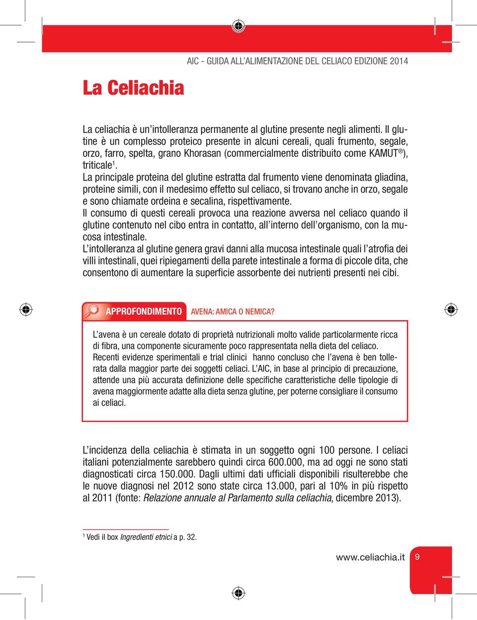 La principale proteina del glutine estratta dal frumento viene denominata gliadina, proteine simili, con il medesimo effetto sul celiaco, si trovano anche in orzo, segale e sono chiamate ordeina e