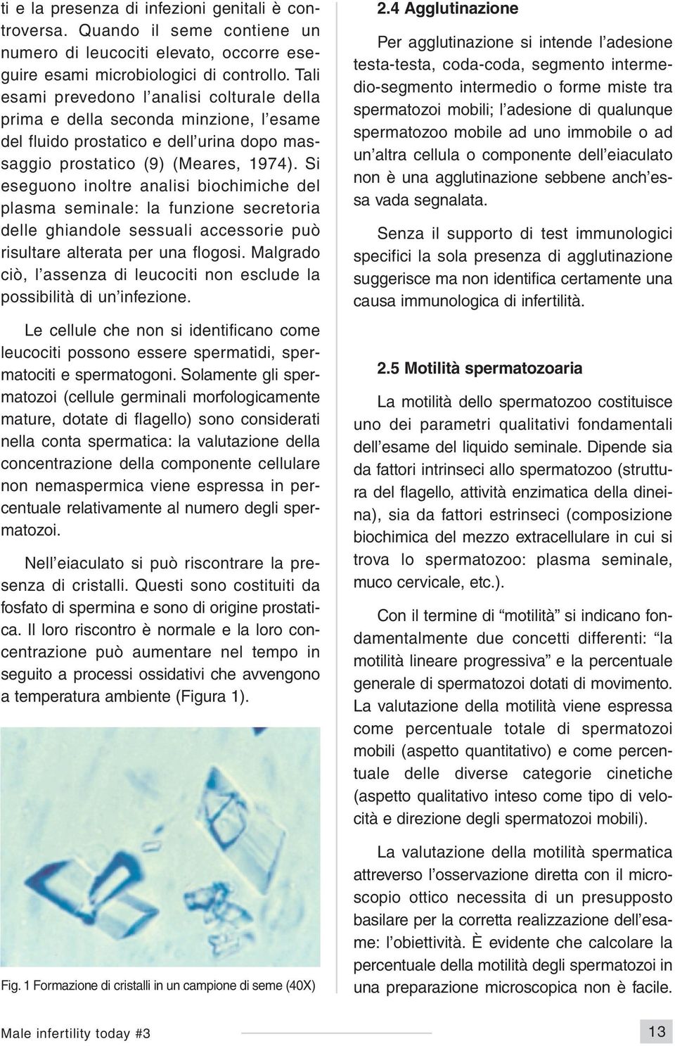 Si eseguono inoltre analisi biochimiche del plasma seminale: la funzione secretoria delle ghiandole sessuali accessorie può risultare alterata per una flogosi.