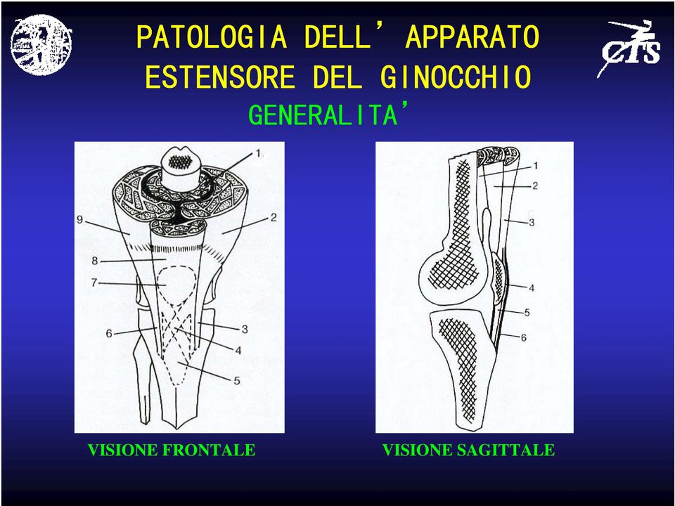 GENERALITA VISIONE